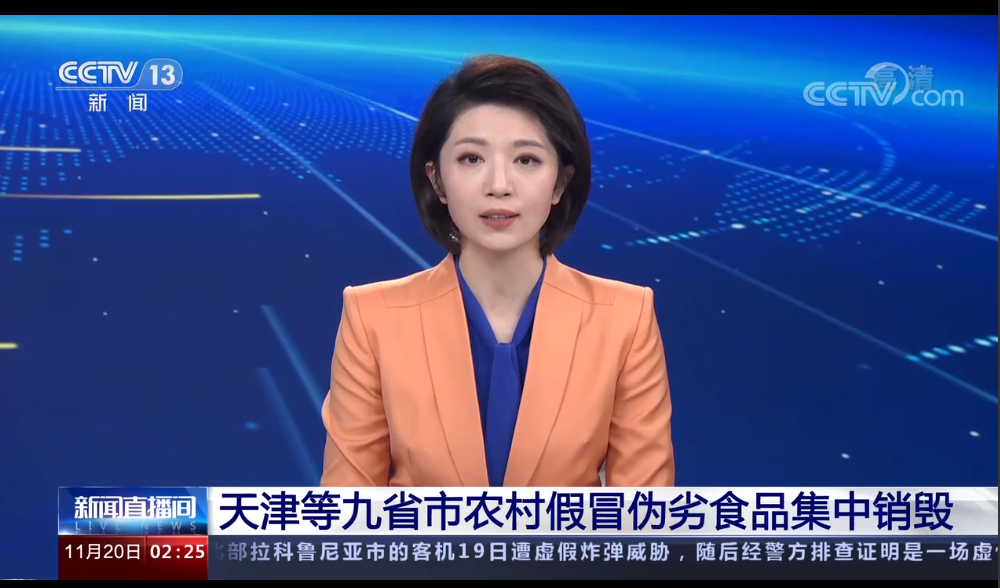 央视新闻：销毁农村假冒伪劣食品